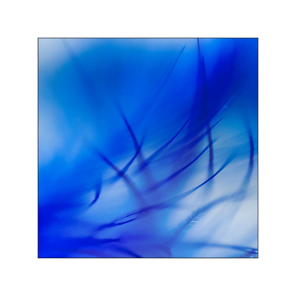 Abstraktion in Blau IV