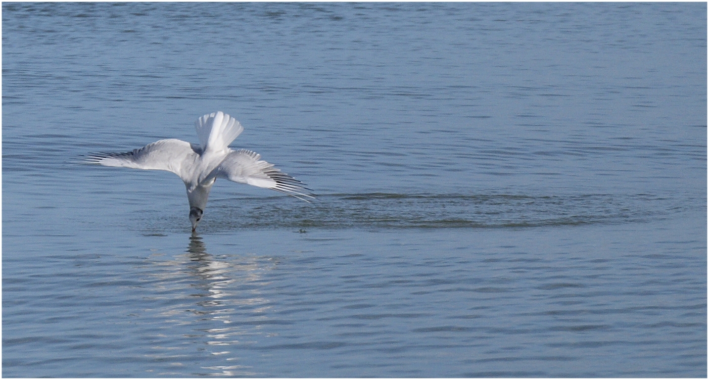 Abtauchen in die Ostsee