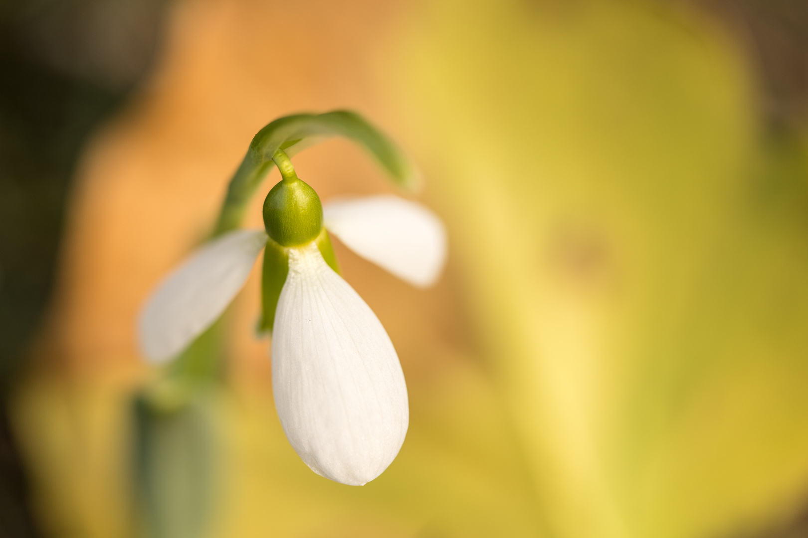 abtauchen in Farbe