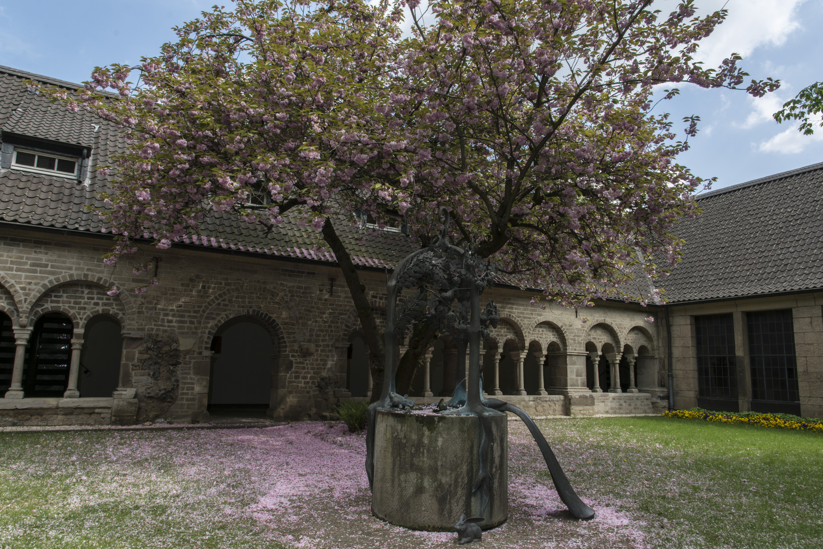 Abtei Hamborn, Innenhof mit Brunnen und Kirschbaumblüte