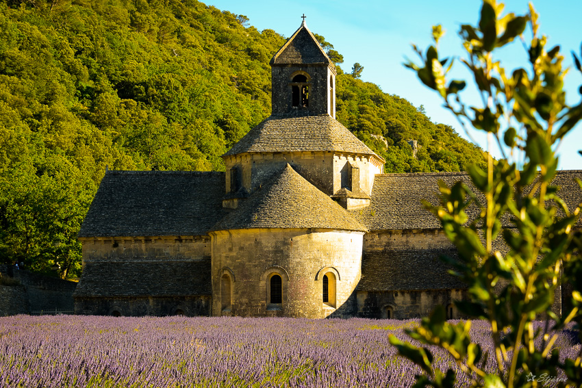 Abtei Notre-Dame de Senanque