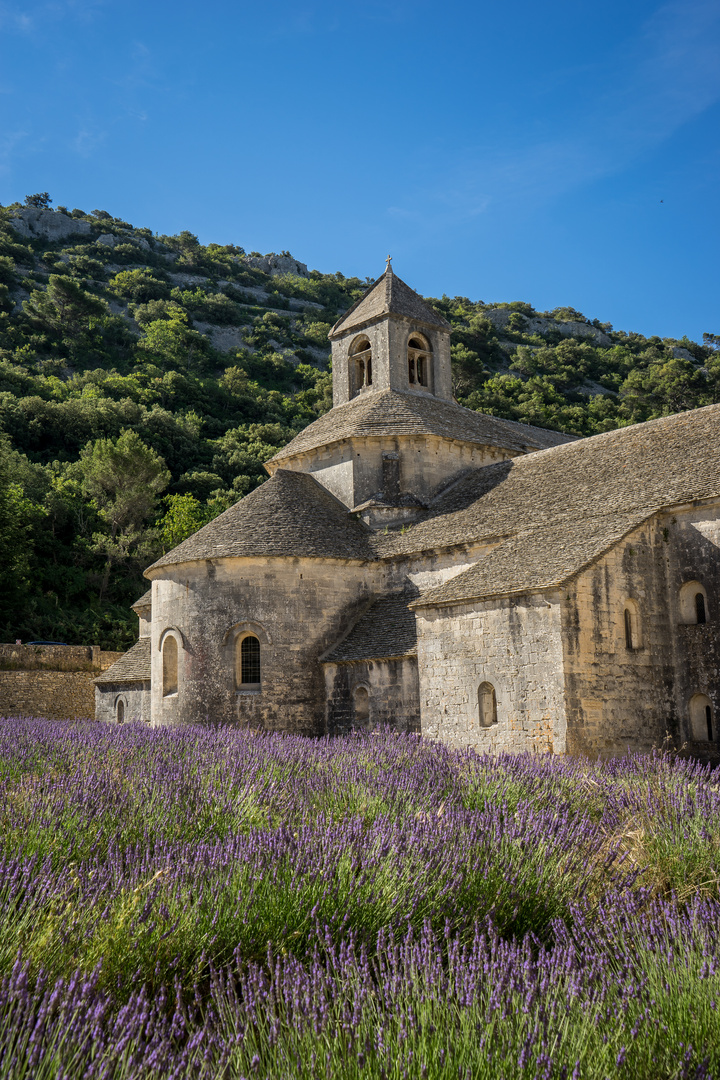 Abtei Notre - Dame de Sénanque 2