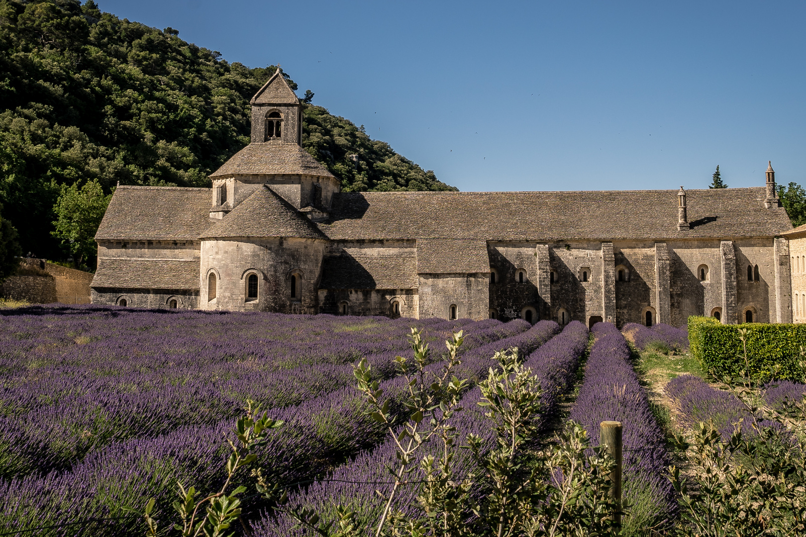 Abtei Notre - Dame de Sènanque;