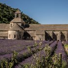 Abtei Notre - Dame de Sènanque;