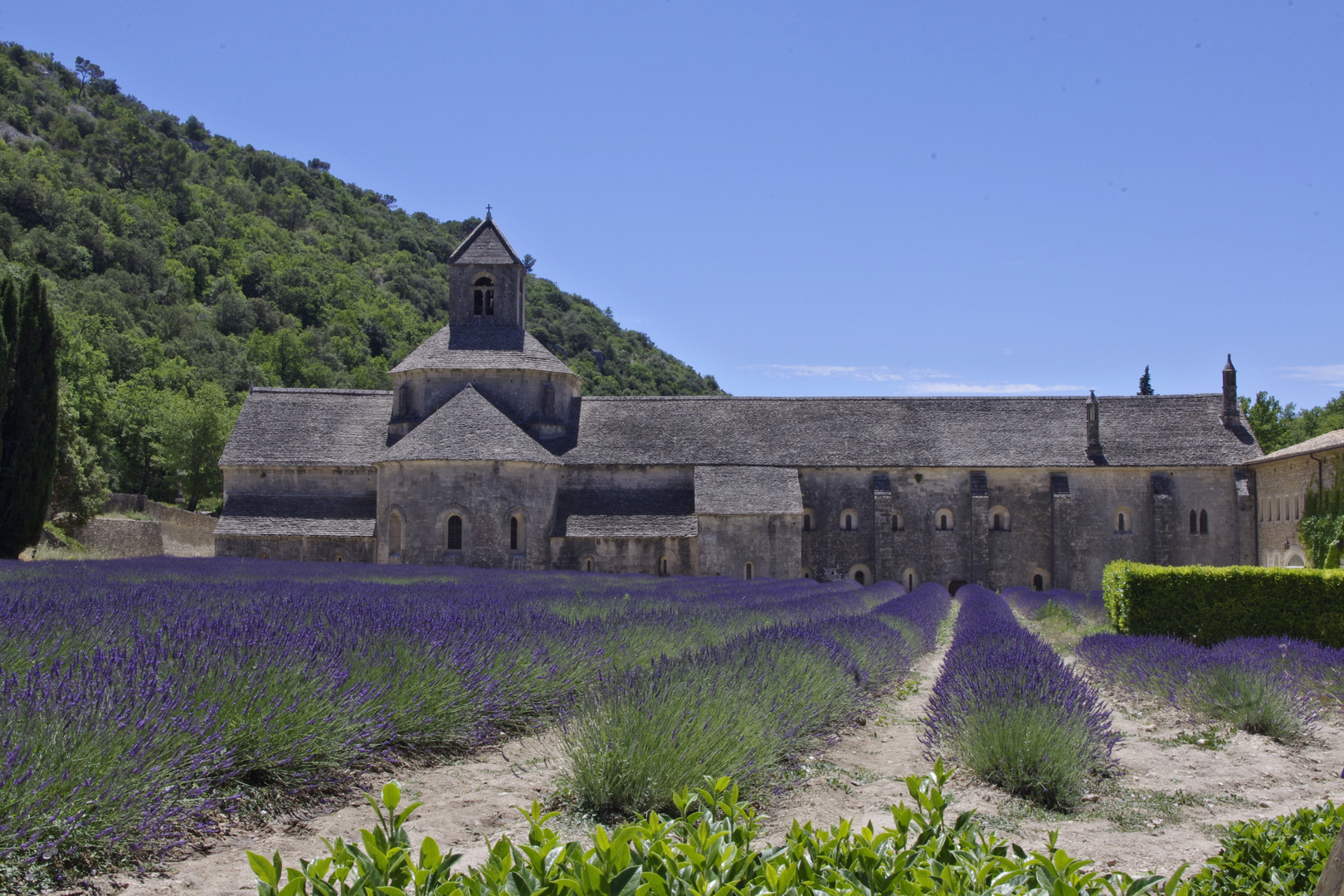 Abtei Notre-Dame de Sénanque