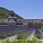 Abtei Notre-Dame de Sénanque