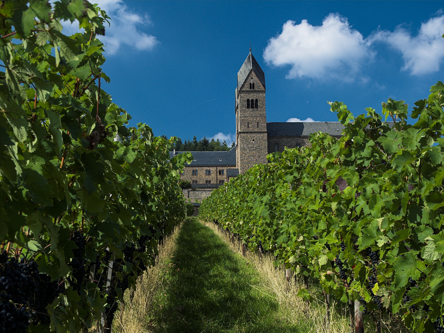 Abtei St. Hildegard am Rhein