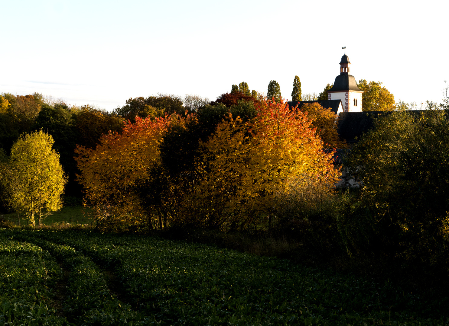 Abteikirche Rommersdorf