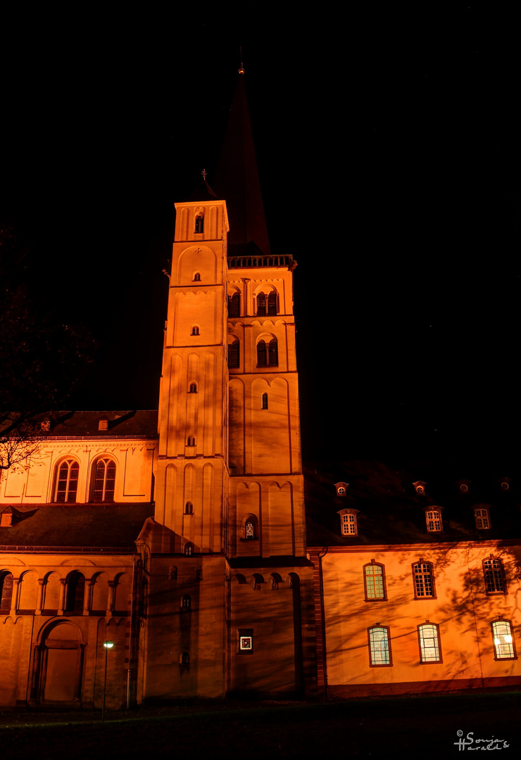 Abteikirche St. Nikolaus in Brauweiler (2)