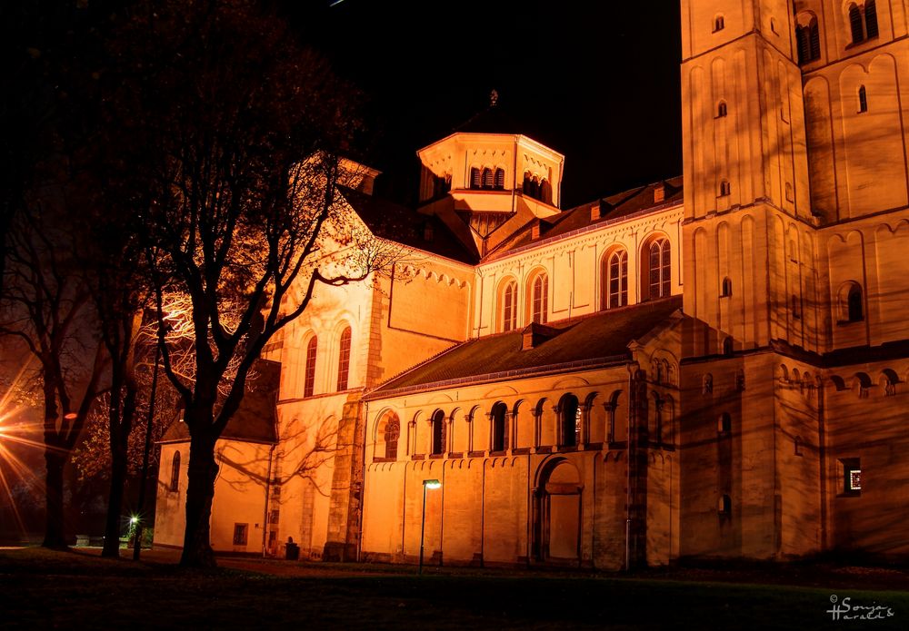 Abteikirche St. Nikolaus in Brauweiler (3)