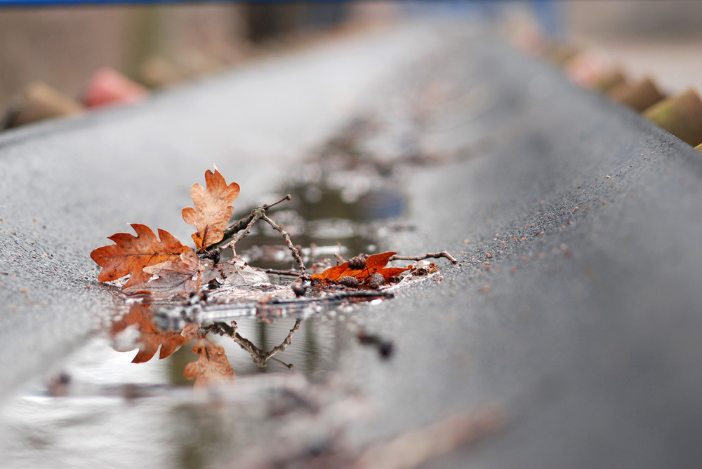 Abtransport von Herbstlaub...