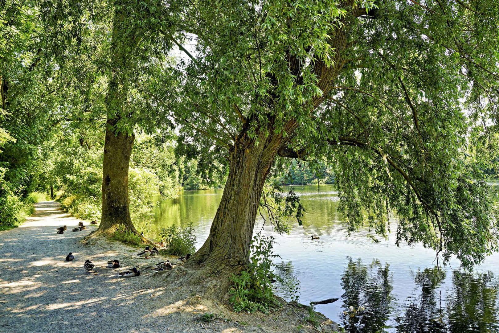 Abtskücher Teich Heiligenhaus 2