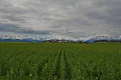 Abtwil AG unter einer Wolkendecke