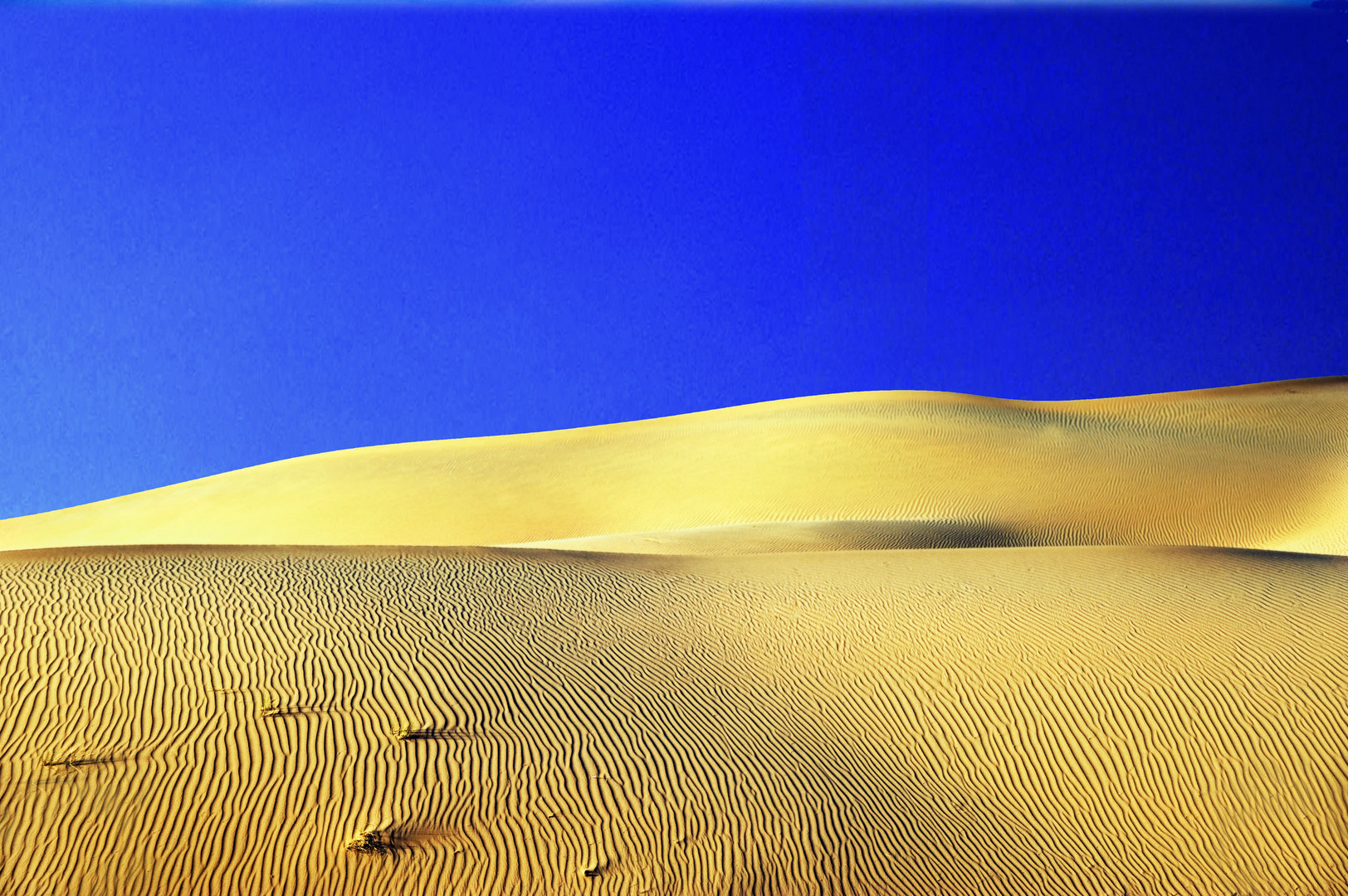 abu dabi desert