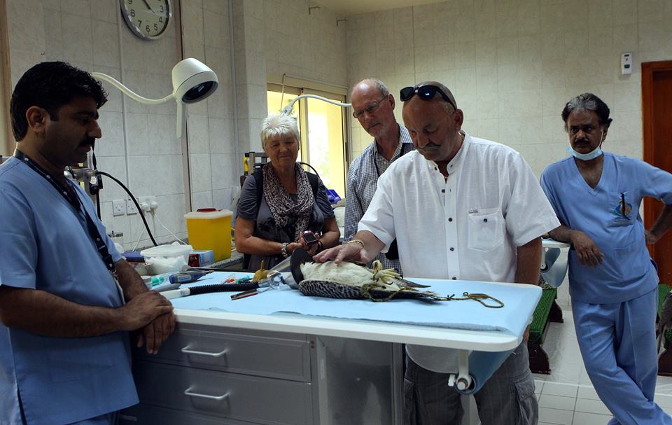 Abu Dhabi Falcon Hospital 3