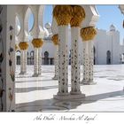 Abu Dhabi - Moschea Al-Zayed