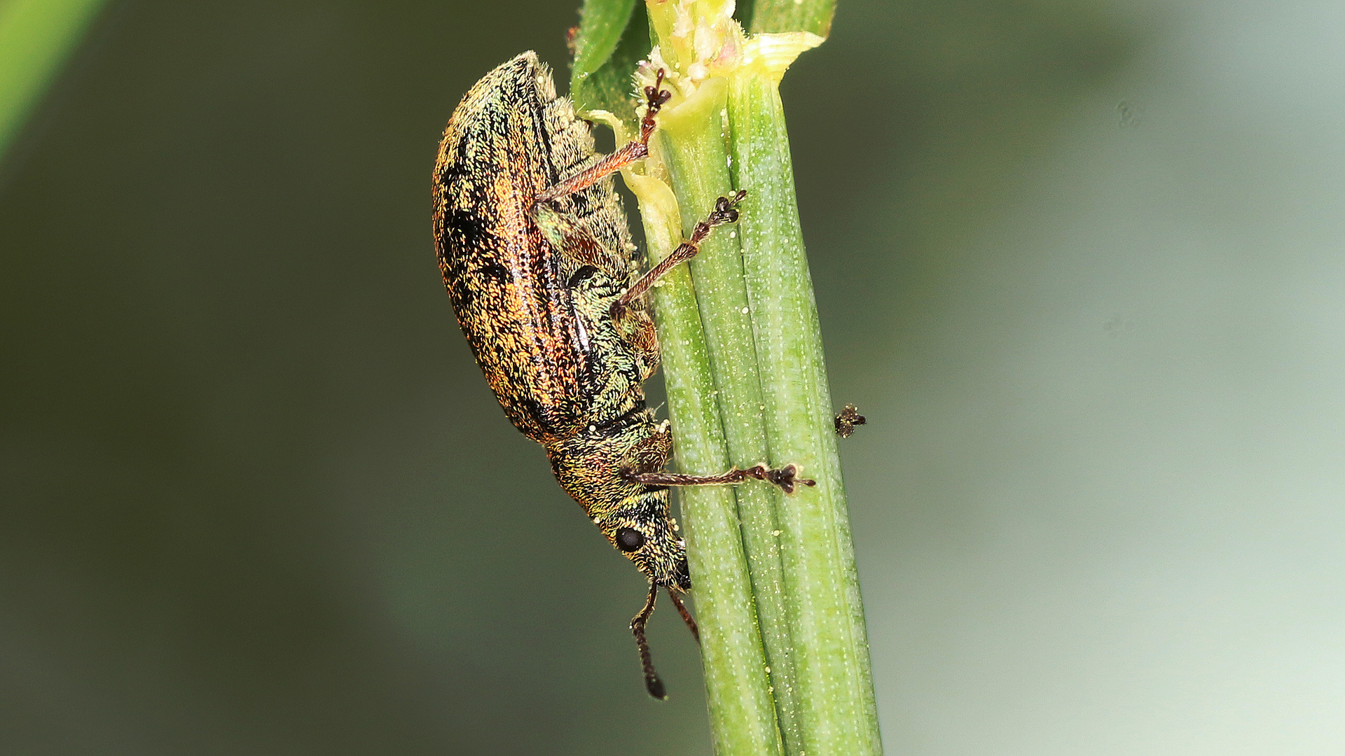 Abwärts... Foto & Bild fotos, canon, makro Bilder auf