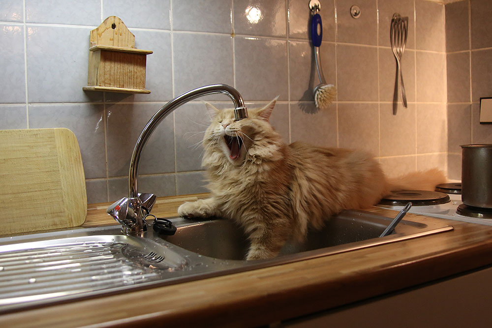 Abwasch ist fertig!