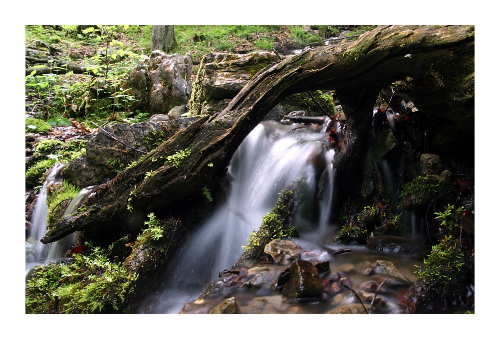 Abwasser der wilden Fräulein...