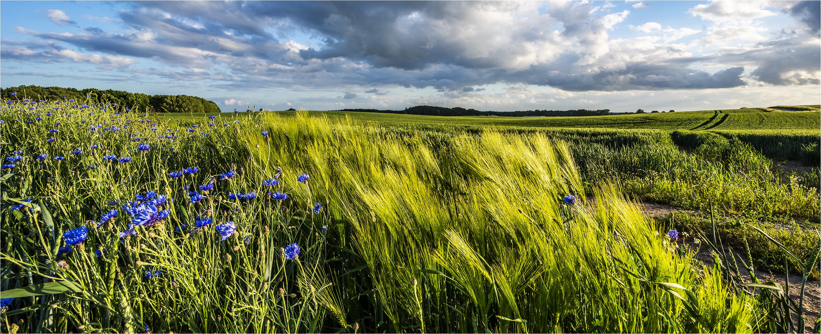 … Abwechselungsreich …