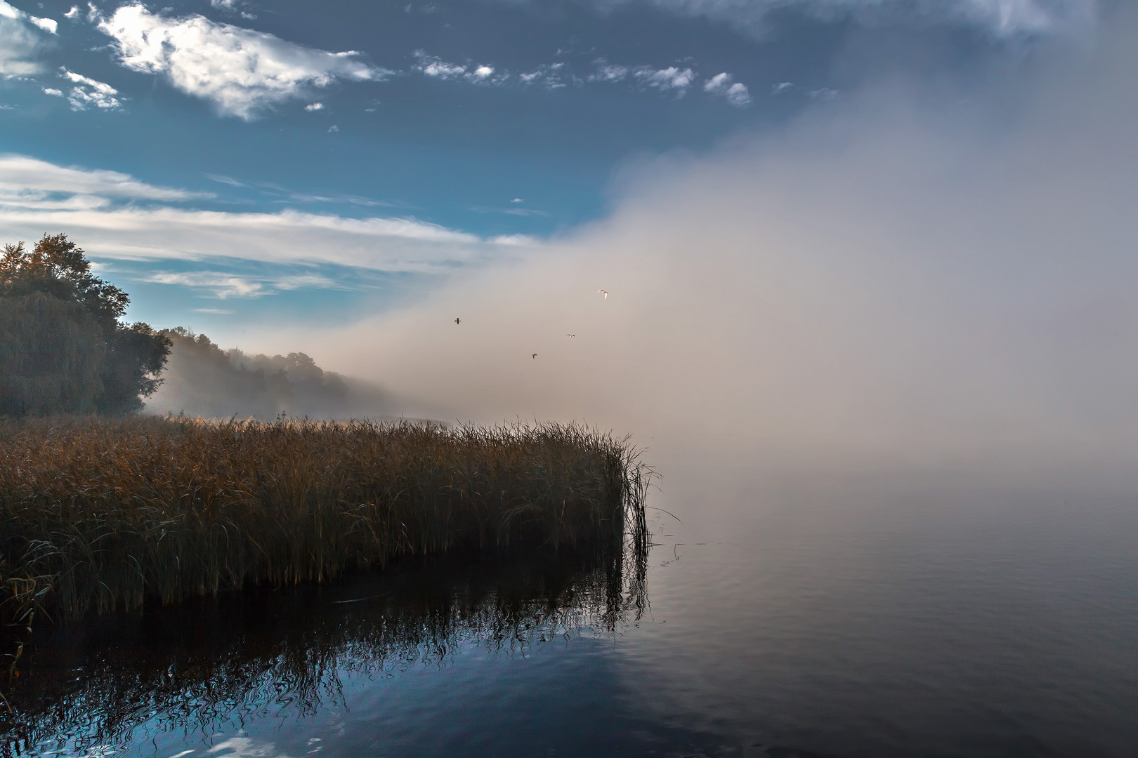 Abziehender Morgennebel am Blankensee