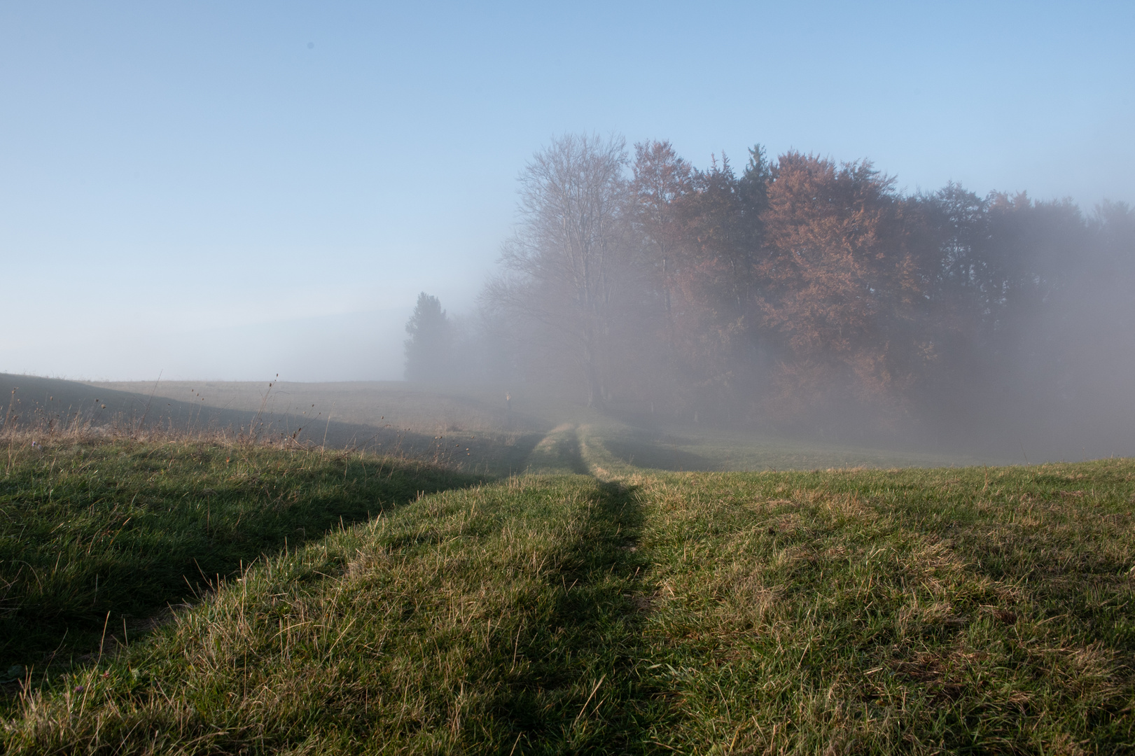 abziehender Nebel