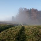 abziehender Nebel