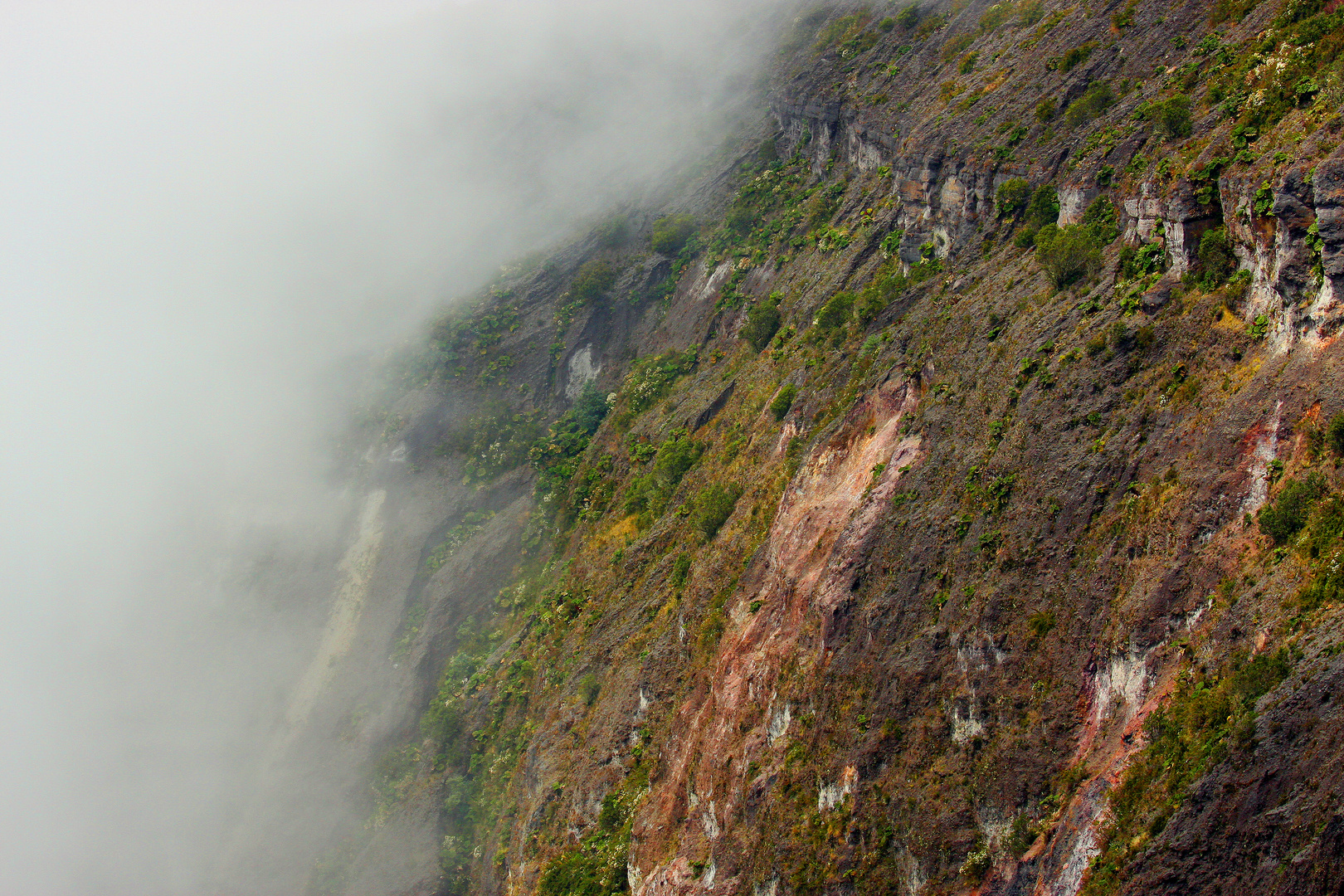 Abziehender Nebel gibt den Blick frei auf die Vegetation am Vulkan Irazu, Costa Rica