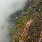 Abziehender Nebel gibt den Blick frei auf die Vegetation am Vulkan Irazu, Costa Rica
