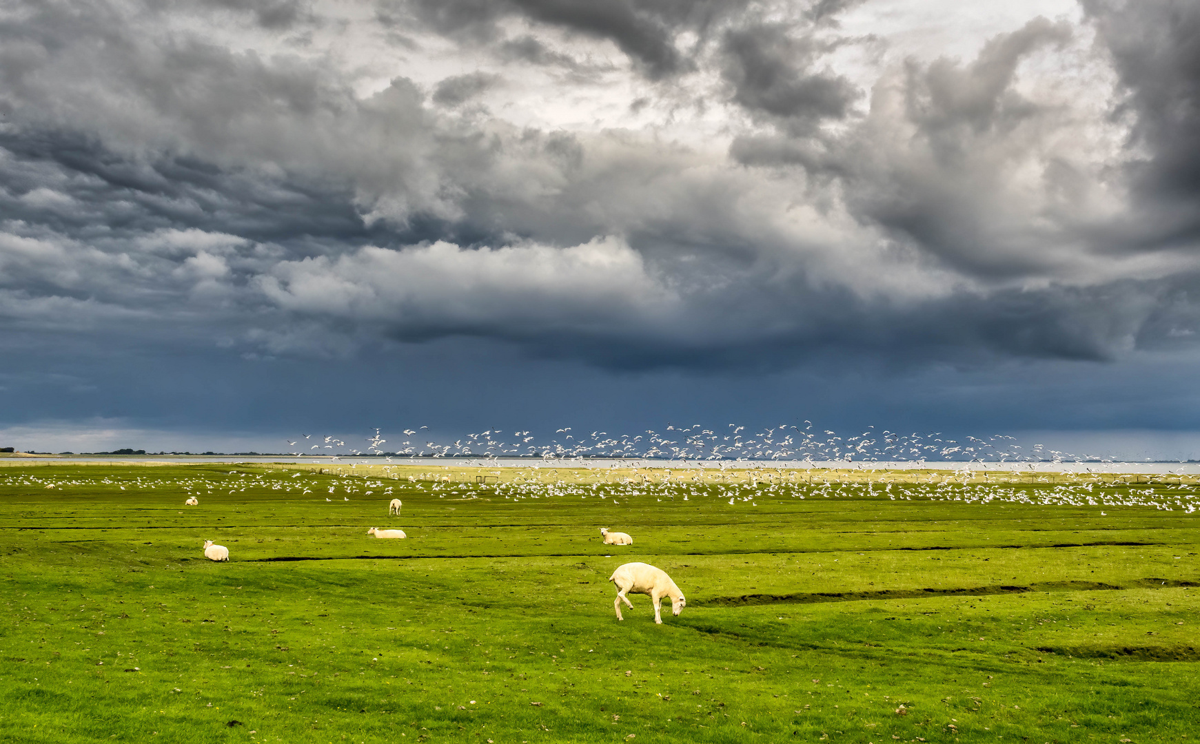 Abziehender Regenschauer