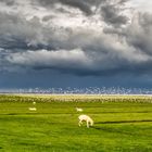 Abziehender Regenschauer