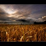 Abziehendes Schneckenwetter