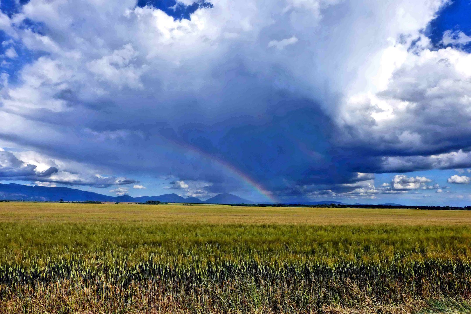 Abziehendes Unwetter auf dem Plateaux de Valensole bei Riez