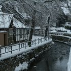 Abzucht im Winterkleid