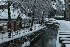 Abzucht im Winterkleid