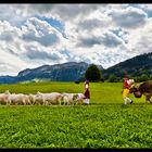 Abzug von der Alm