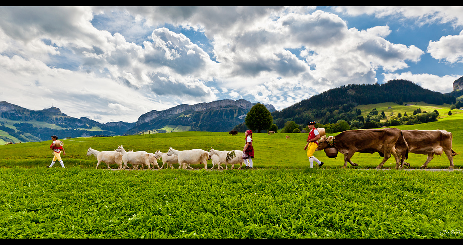 Abzug von der Alm