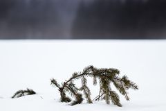 Abzweig im Schnee