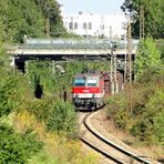 "Abzweig in die Prärie", Trudering-Moosfeld, 03.09.2011