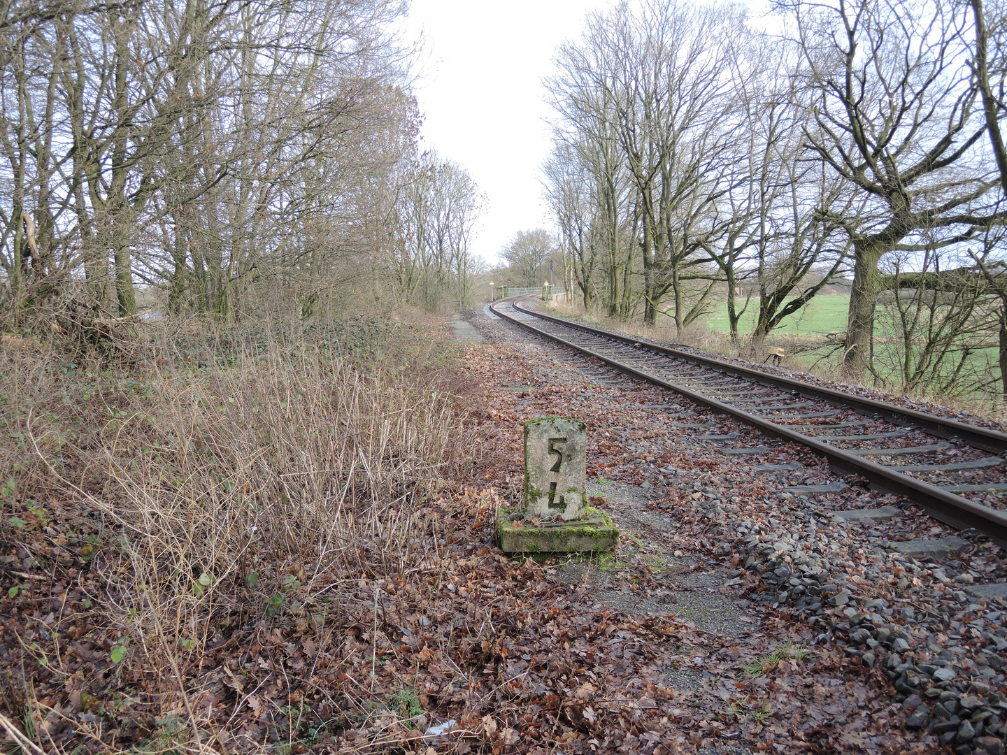 Abzweig Lohe 2016 - Bahnstrecke Nienburg - Sulingen