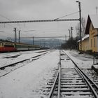 Abzweigbahnhof Dalovice .