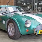 AC Cobra 289 'Hawk'