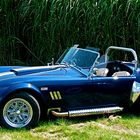 AC Cobra