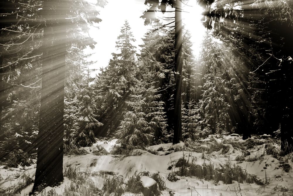 in neuem Licht erstrahlt von CR-Fotografie 