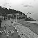 feed the seagulls under the rain