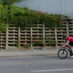 ACAB, Mohn, Speed, Blomen