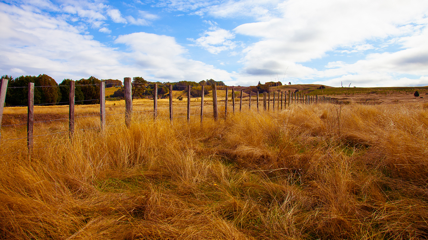 Acacia Bay - New Zealand