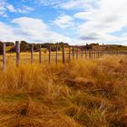 Acacia Bay - New Zealand