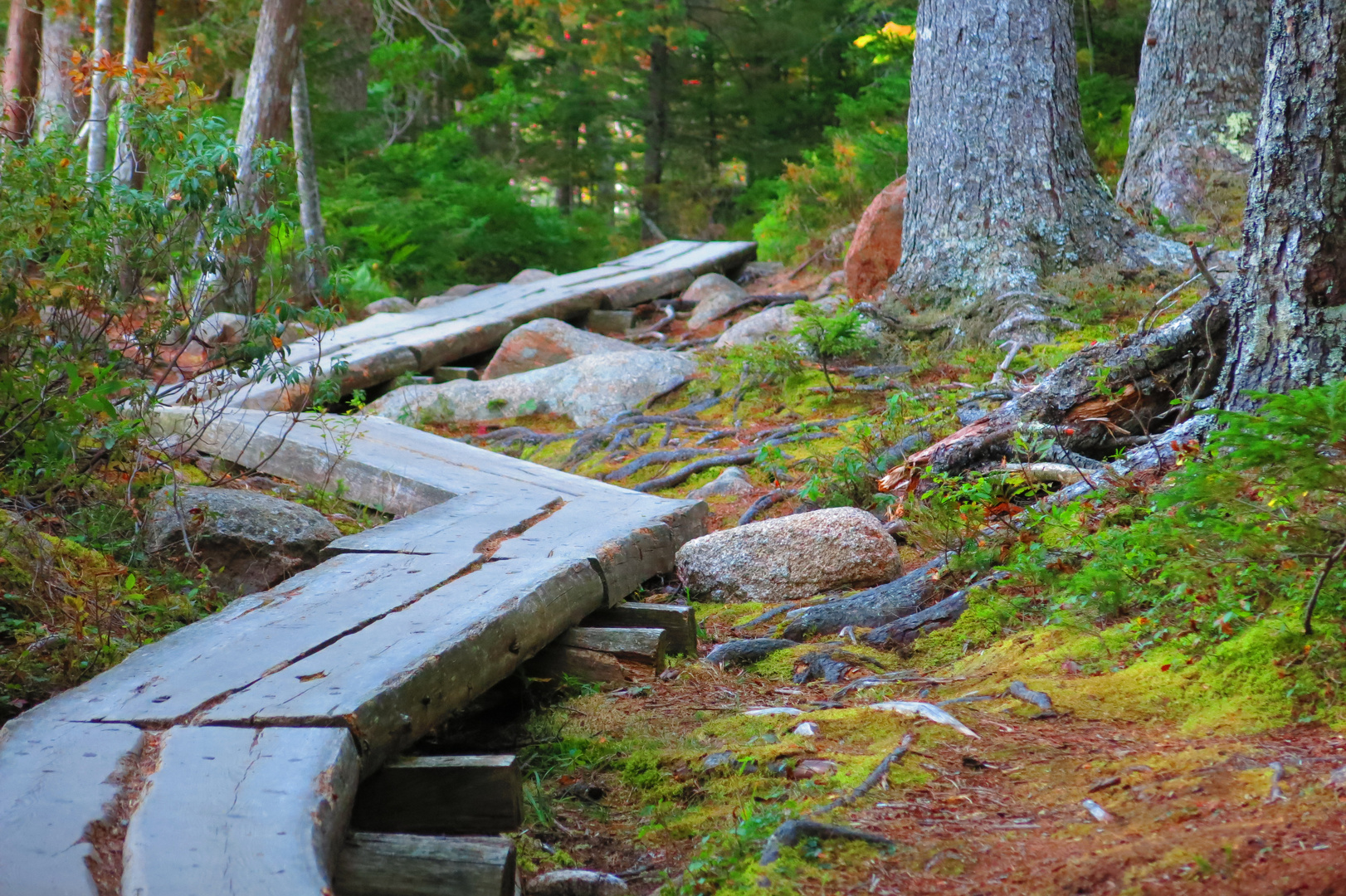 Acadia National Park