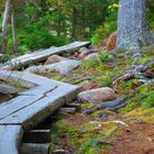 Acadia National Park